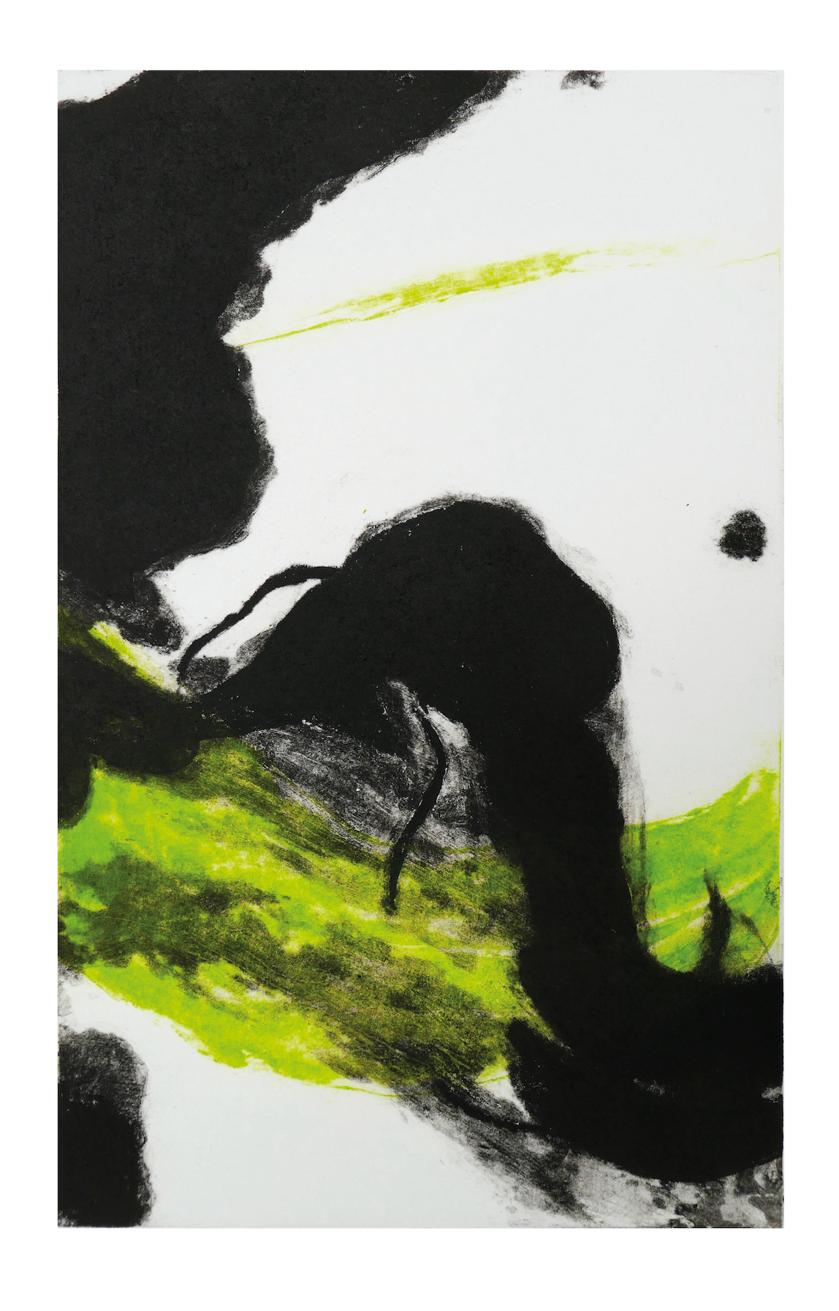 lumiere-dans-les-feuilles_