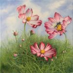 LES COSMOS par Claire TRAGEL