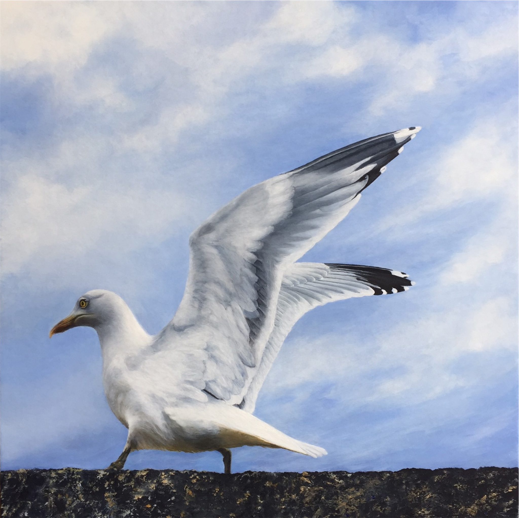 la-mouette