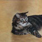 LE CHAT par Claire TRAGEL