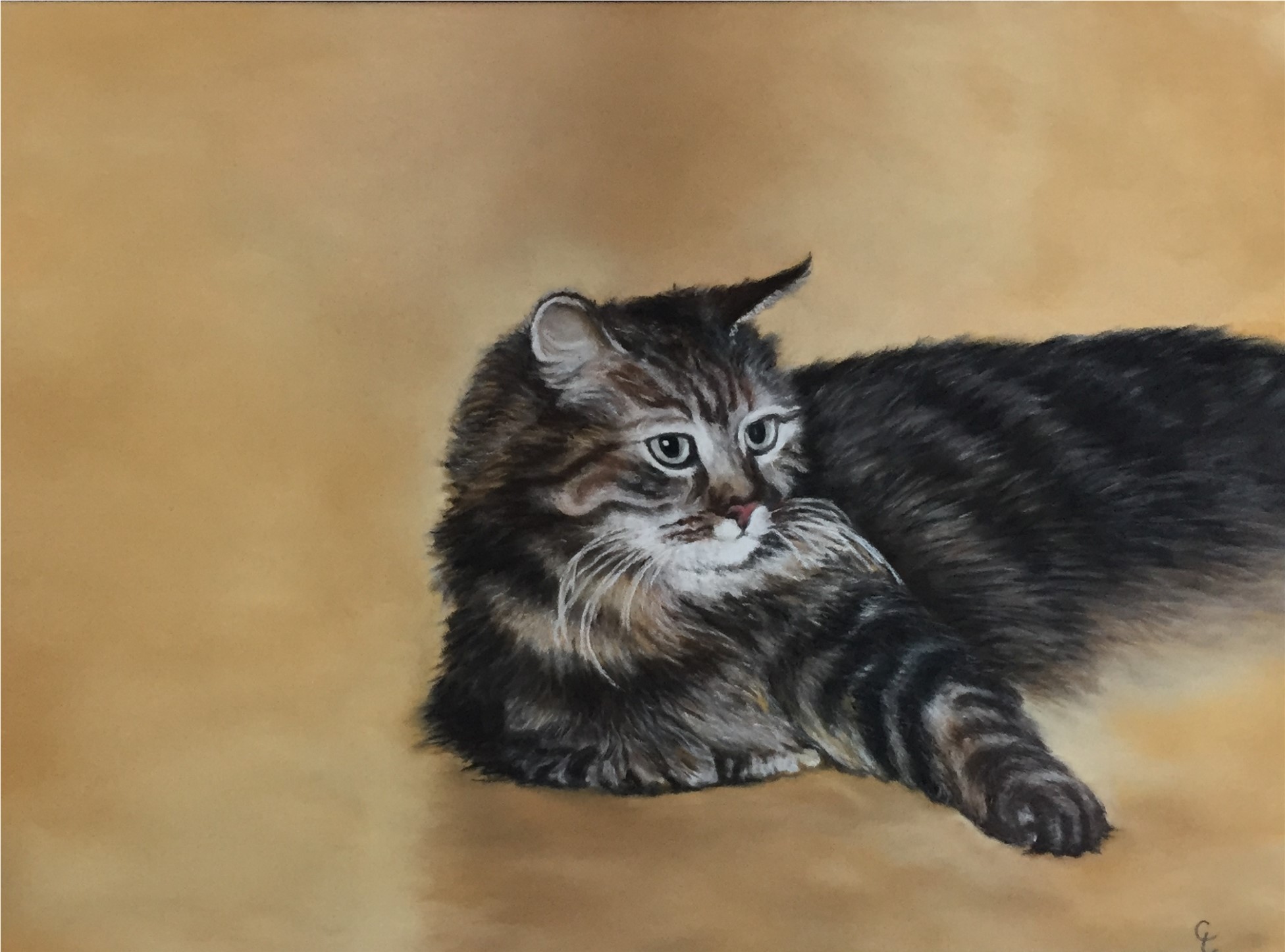 le-chat