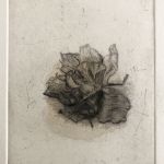 Beauté singulière par Catherine KEUN