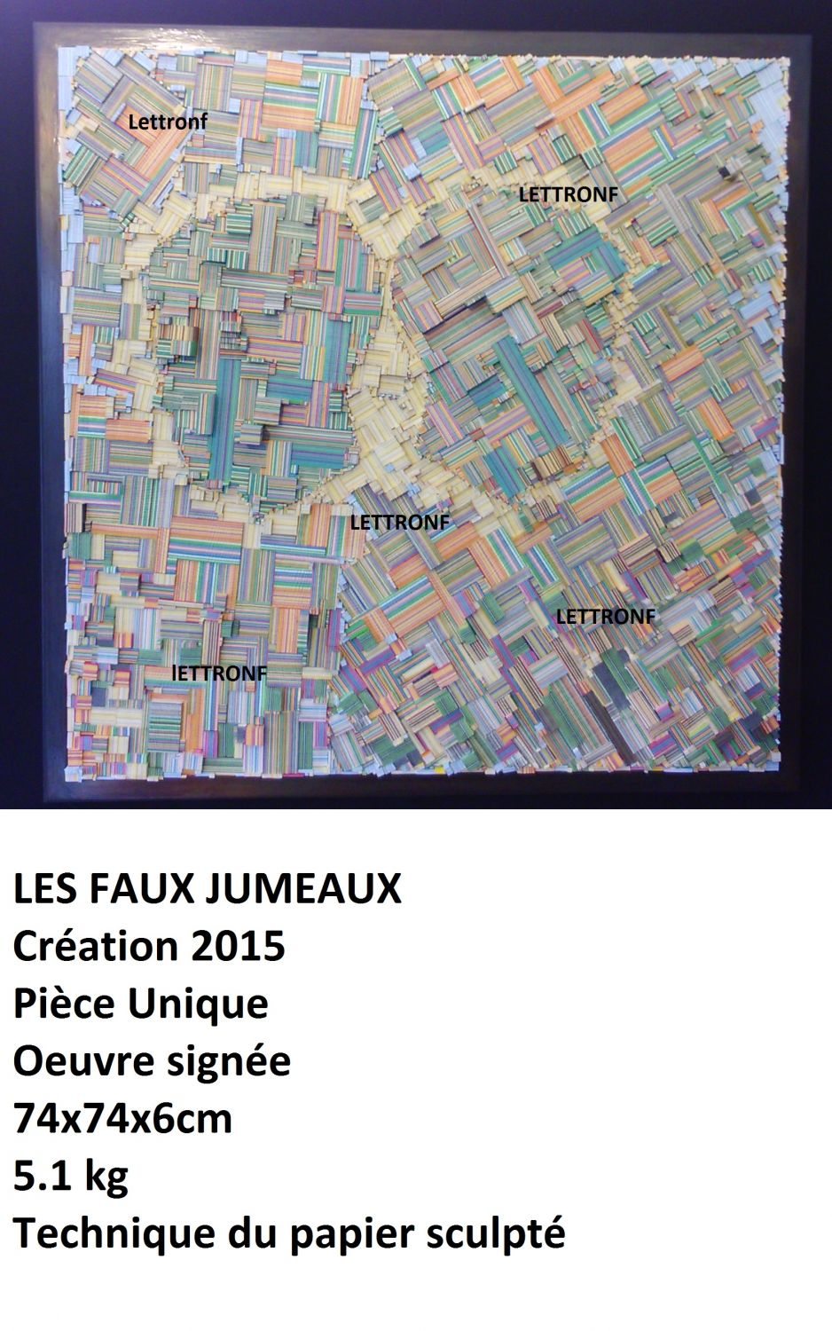 les-faux-jumeaux