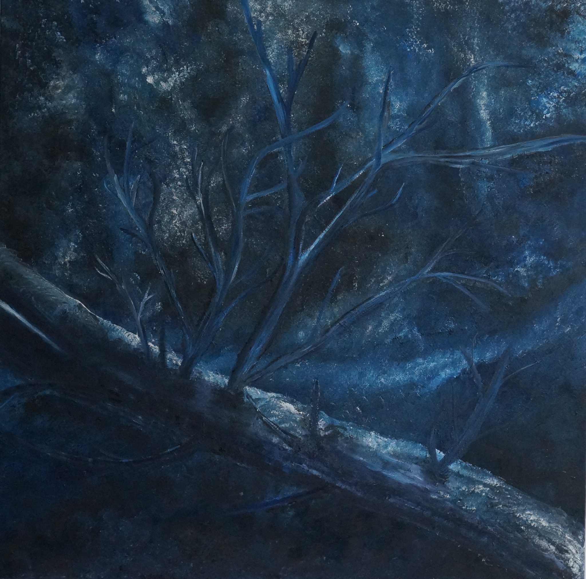 vie-secrete-huile-100x100