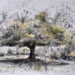 arbre