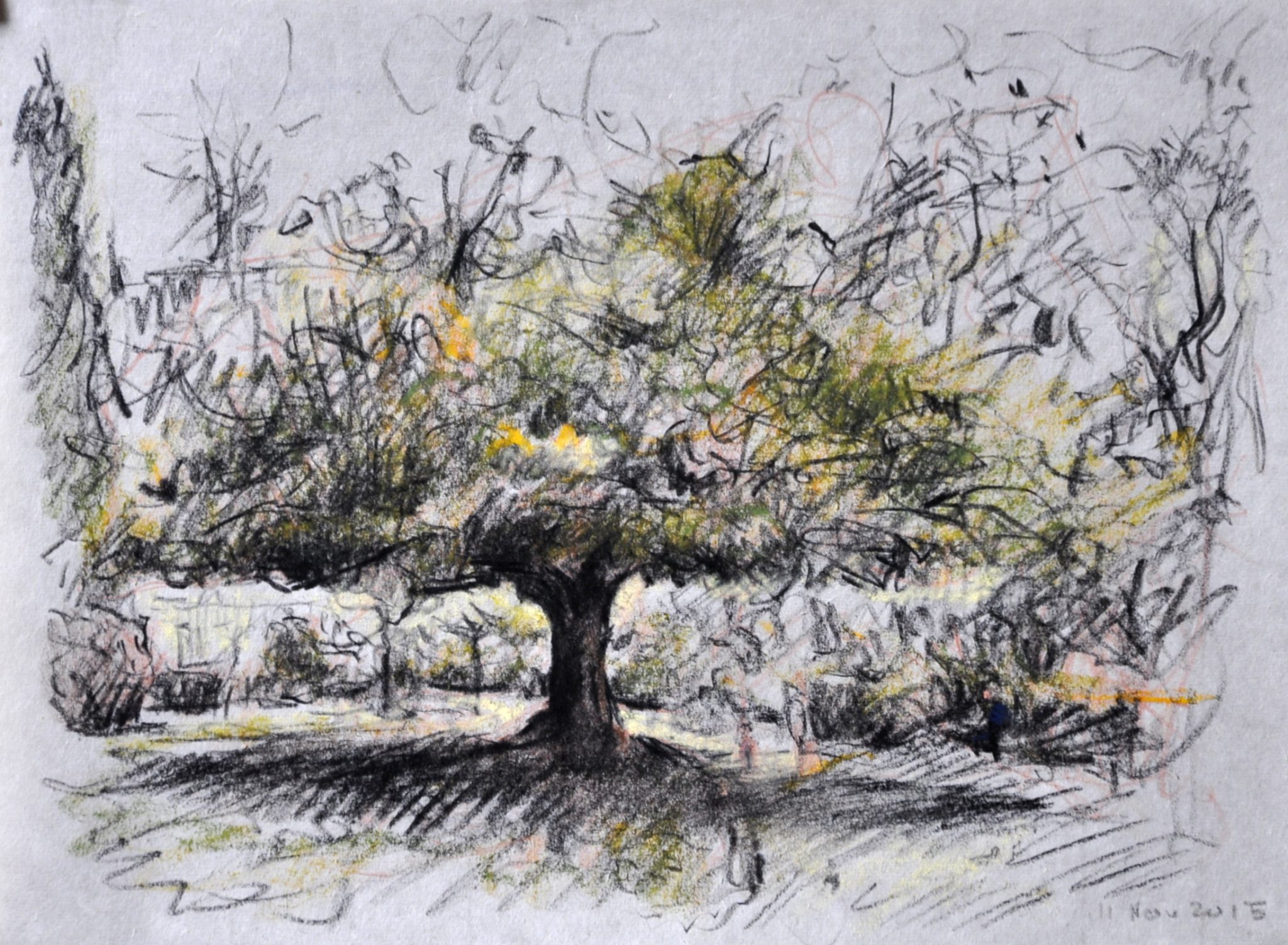 arbre-4