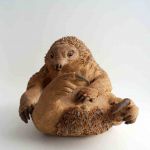 Jeune Zaglossus par Emilie Gavet
