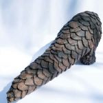 Pangolin par Emilie Gavet