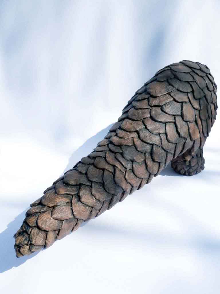 pangolin