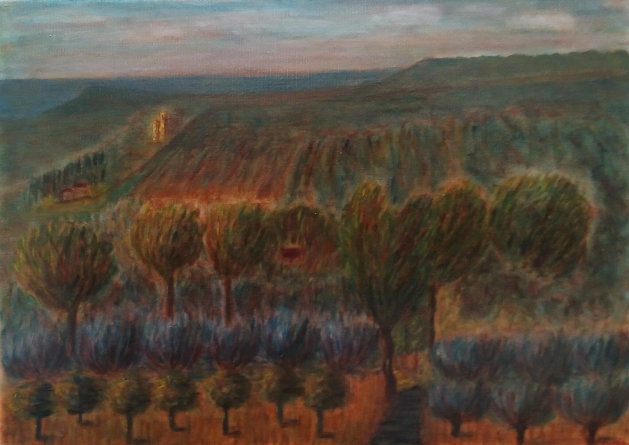 paysage-en-provence-2