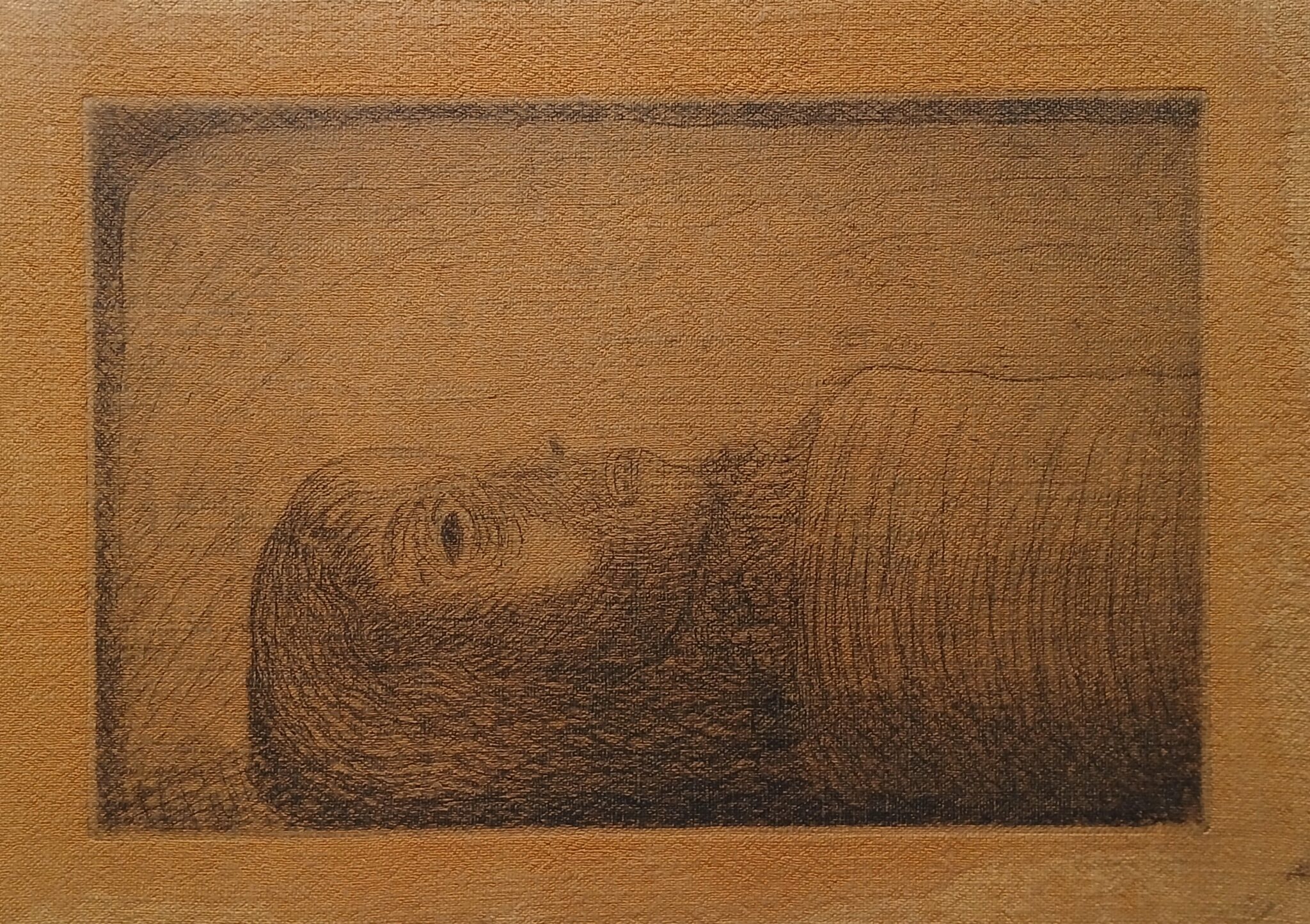 momie-egyptienne-1-2