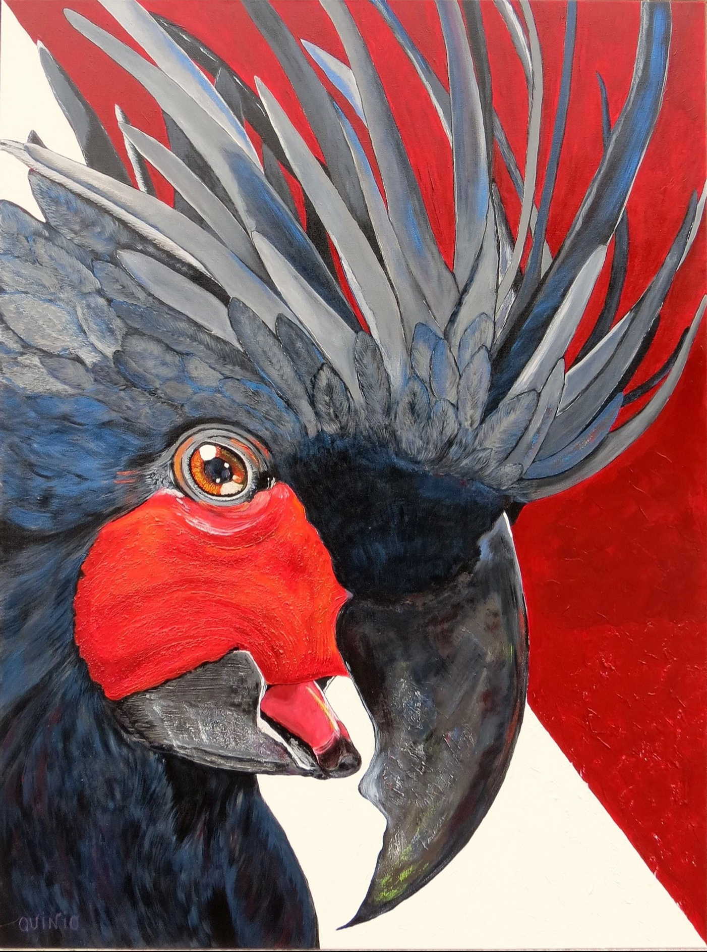coco-drumming-bird
