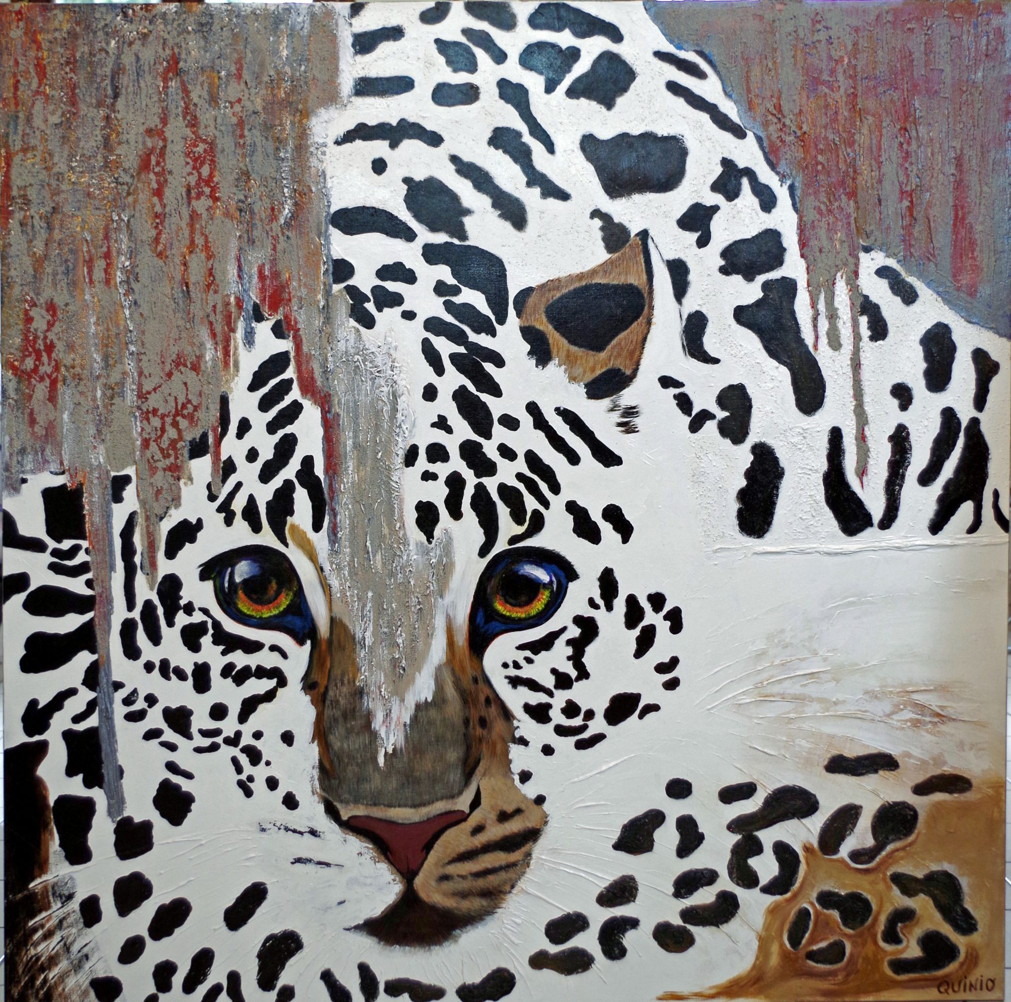 le-leopard-ne-se-deplace-pas-sans-ses-taches