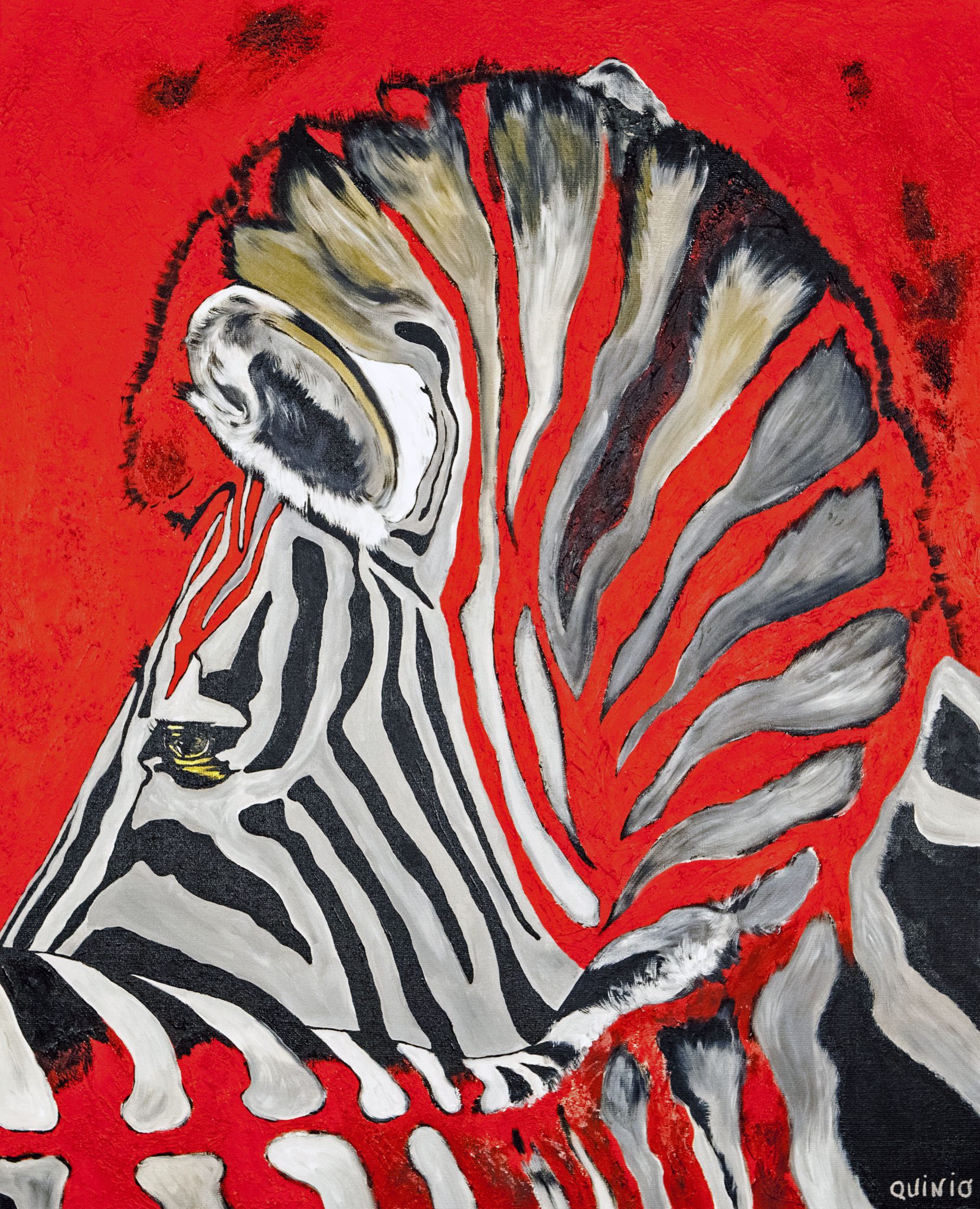 si-on-enleve-les-rayures-dun-zebre-est-ce-toujours-un-zebre