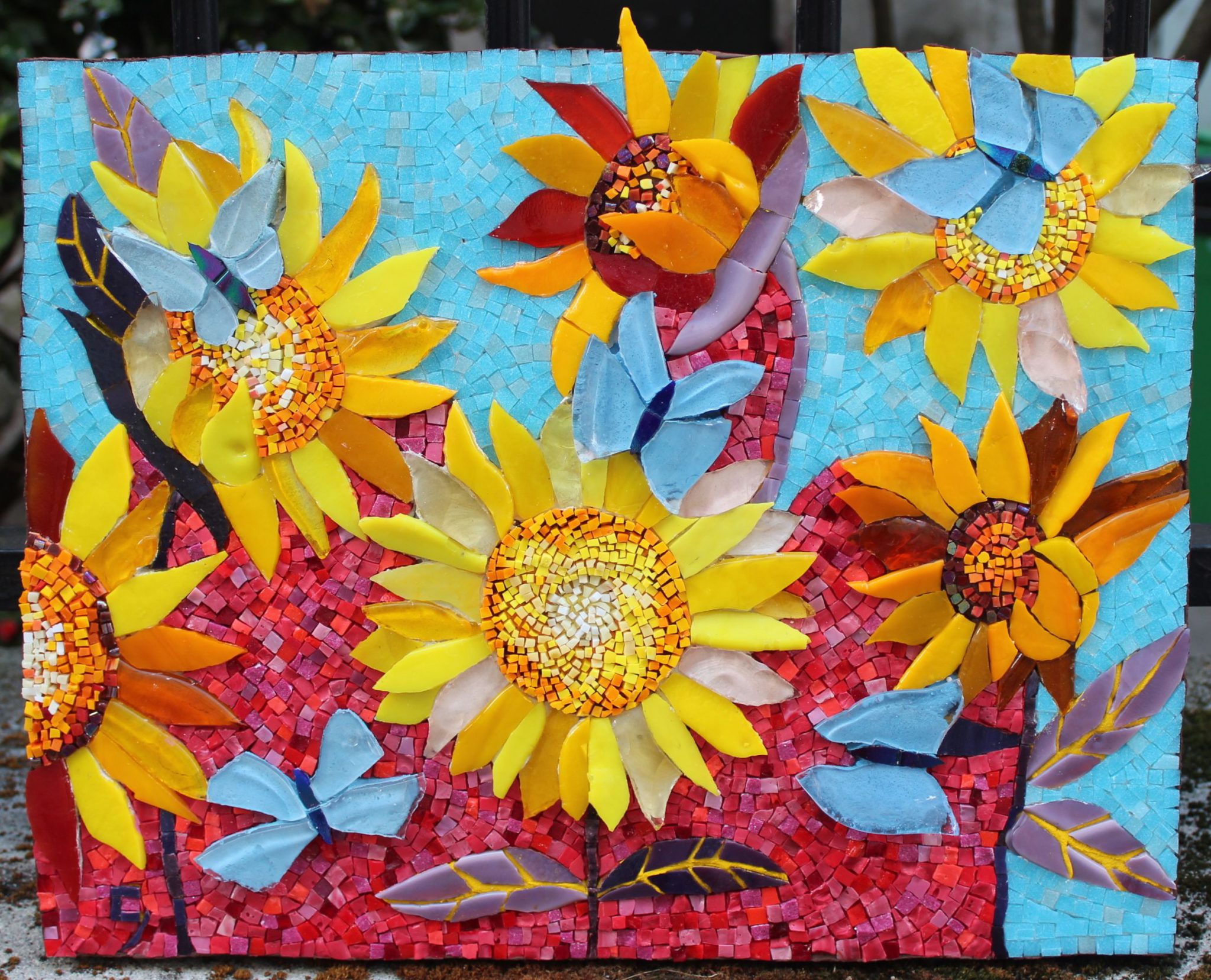 tournesol-3