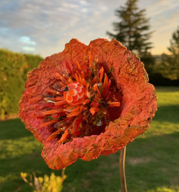 hortensia-2