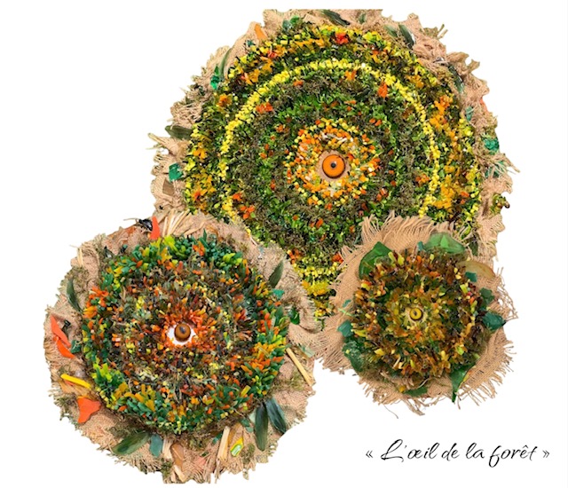 l-oeil-de-la-foret-2