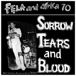 Sorrow Tears and Blood par Babatundé BANJOKO