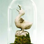 Dodo