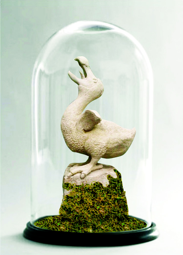 dodo