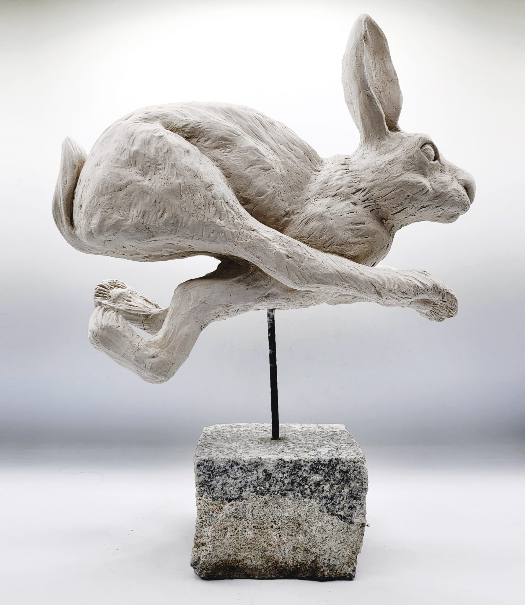 lapin1insta