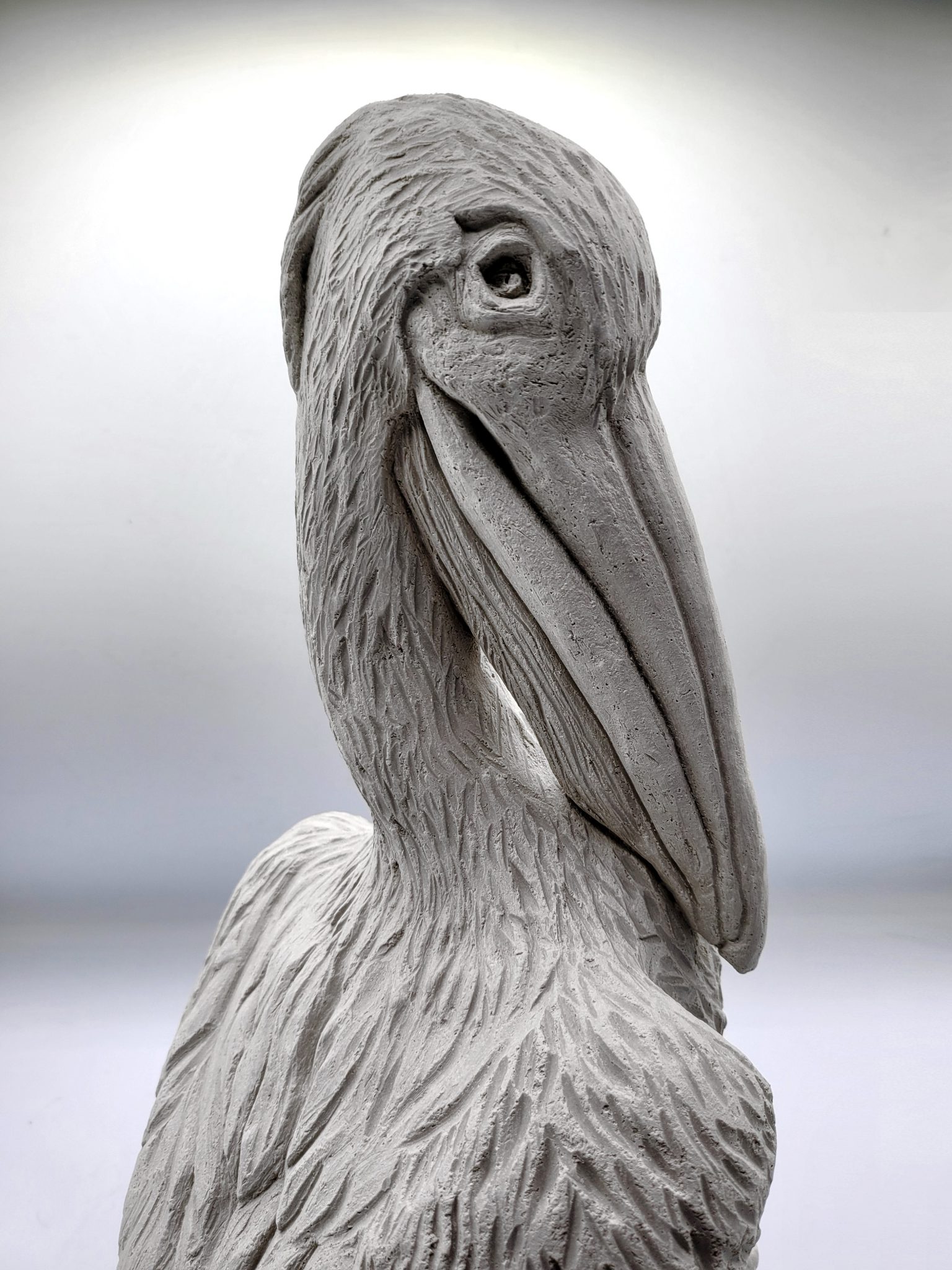 le-pelican-2022-2