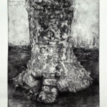 Amours plataniques par Isabelle Oziel