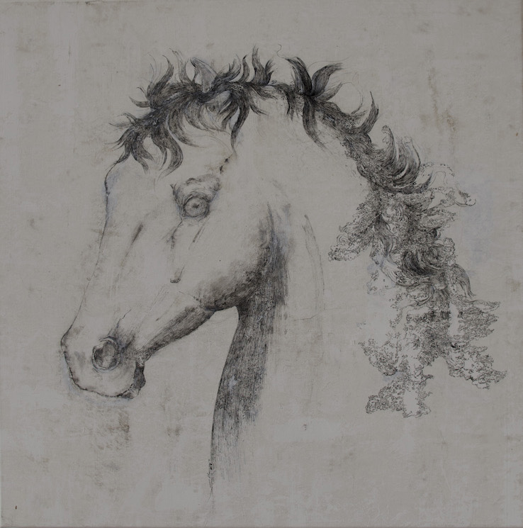 cheval-decume-i-2019