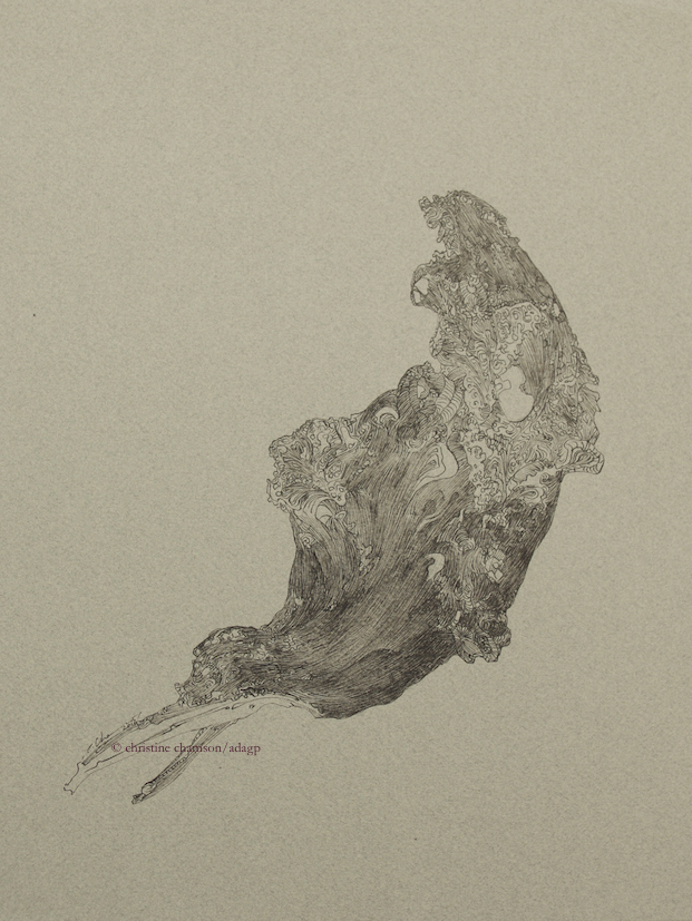 racines-2012-4