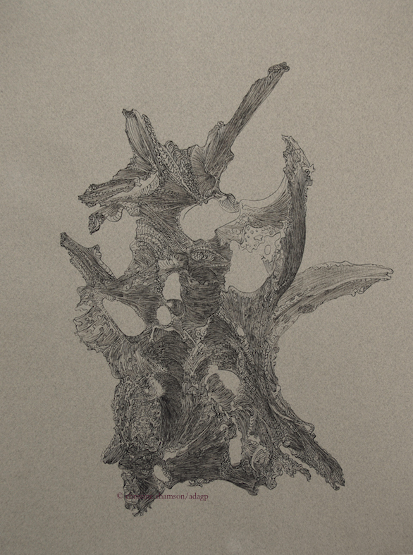 racines-2012-3