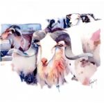 Tundera en Corse par GWEN LEMASSON