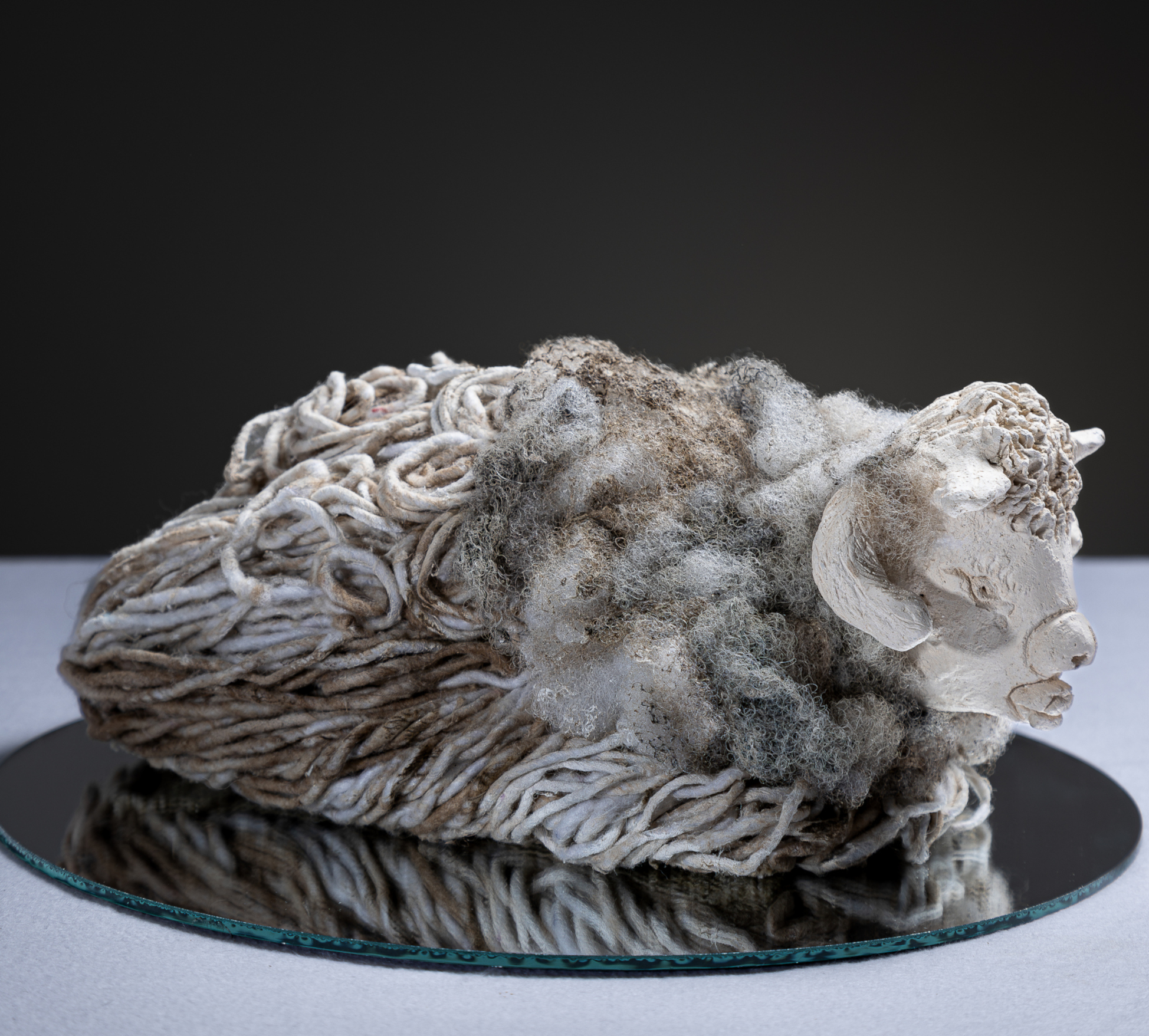 mon-veau-nest-pas-dor