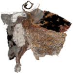 Le bélier ailé par Véronique ATTIA