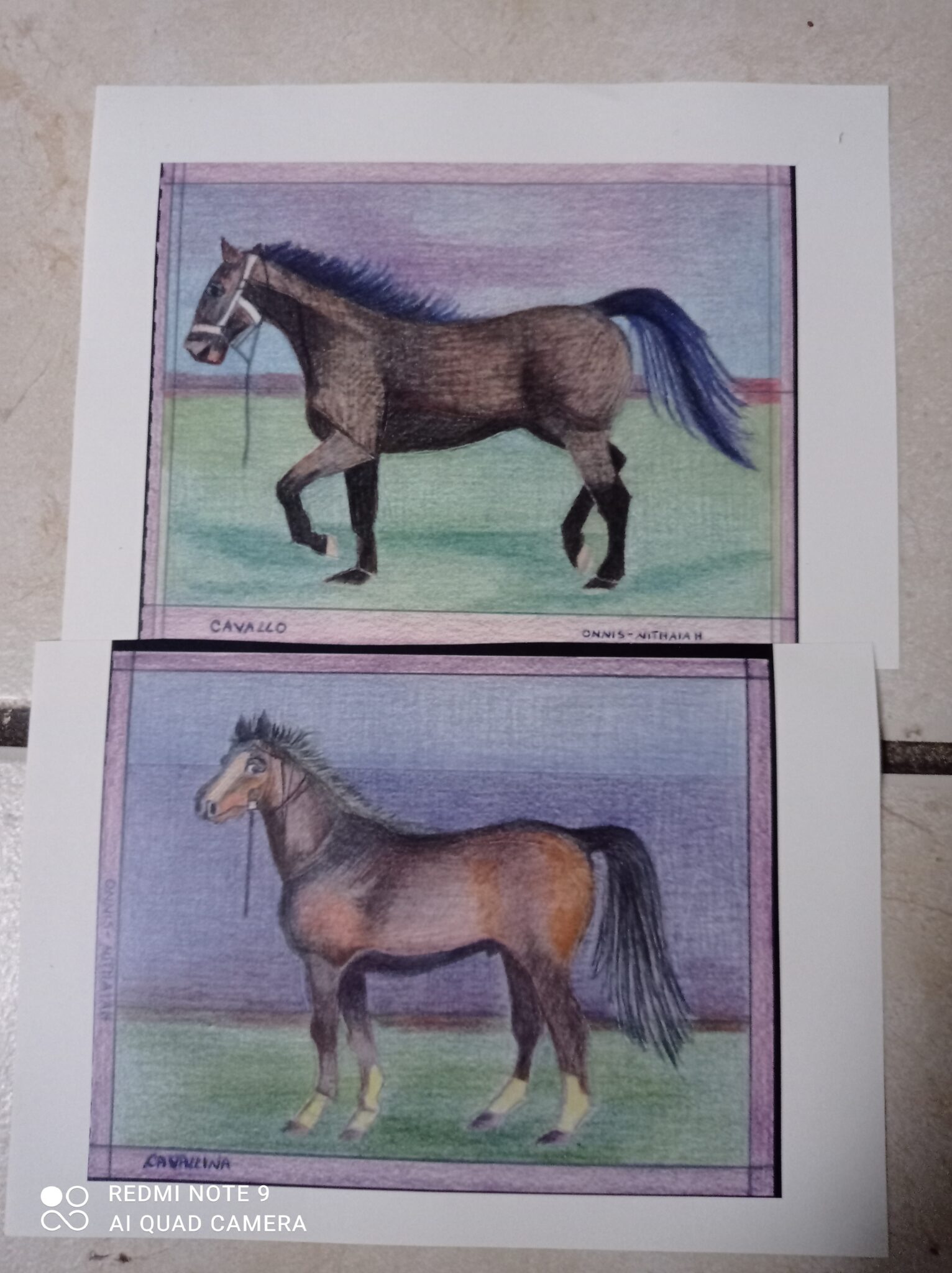 cheval-6