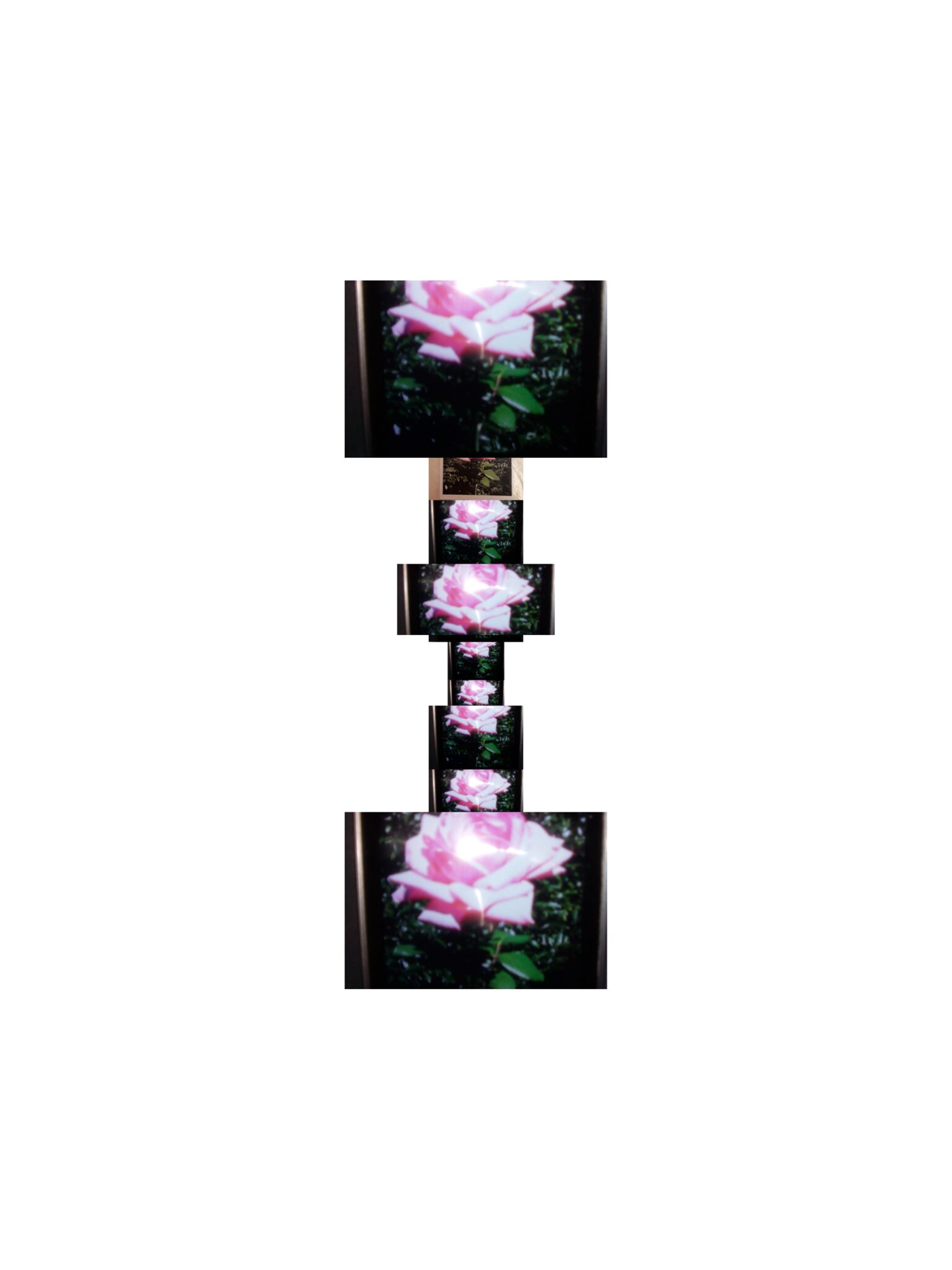 realisation-dun-abat-jour-en-photocollage