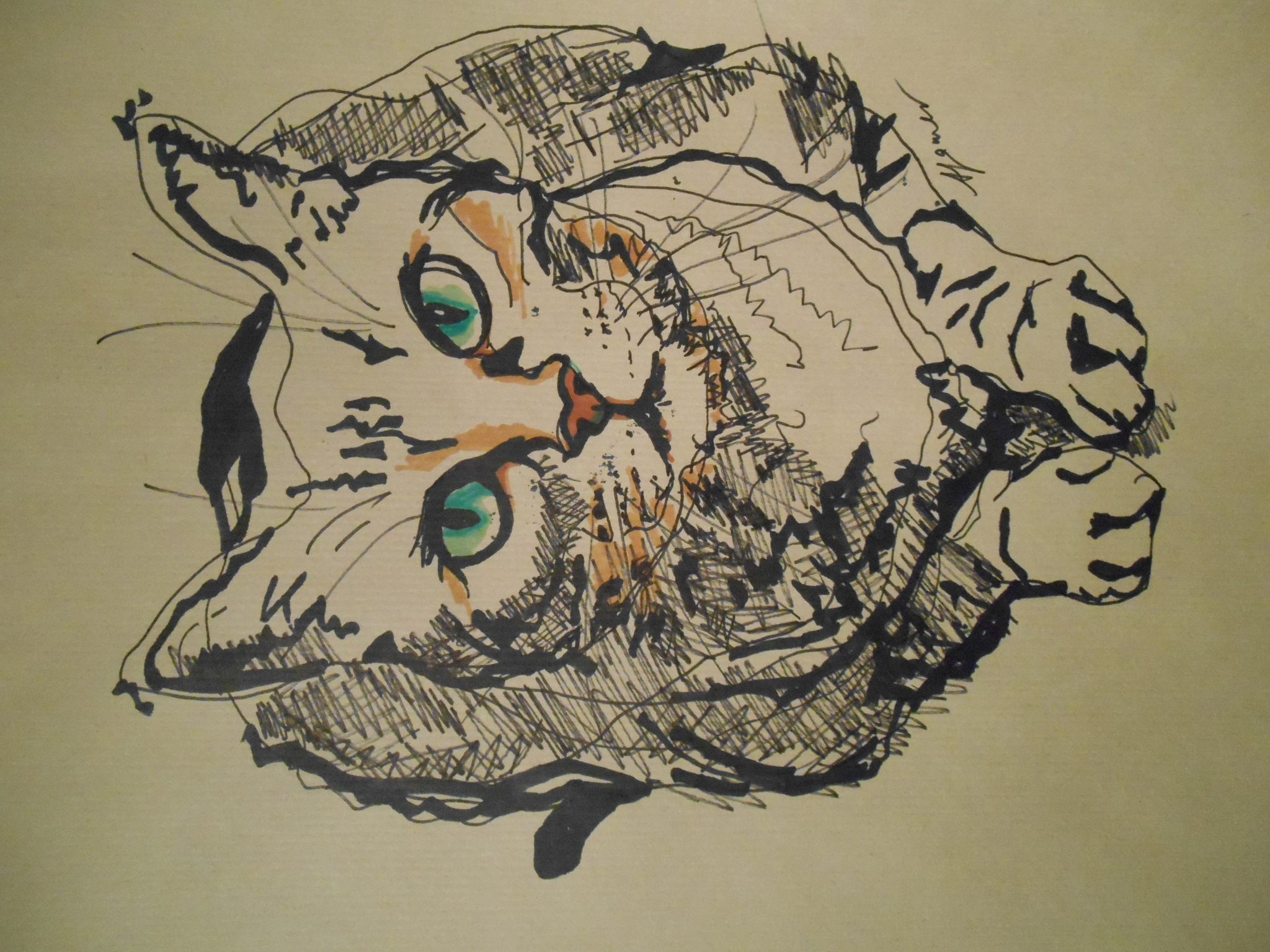 chat-aux-yeux-verts