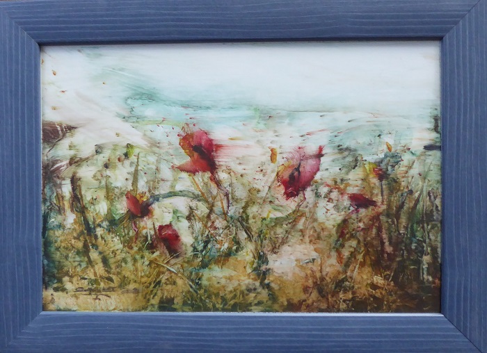 coquelicots-4