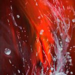 rouge passion  par Patricia BLONDEL