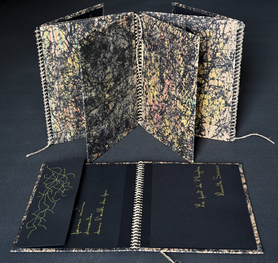 livres-manuscrits-peints-laurettesuccar-2023