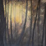 Le bois des brumes par Marie BERTRAND