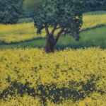 Respiration 5 par Marie BERTRAND