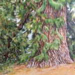 Au pied de mon arbre