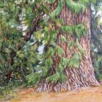 Au pied de mon arbre par Patricia LABREUR