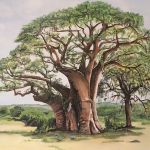 Géant d'Afrique