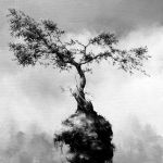 Equilibre 1