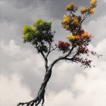 Equilibre 23