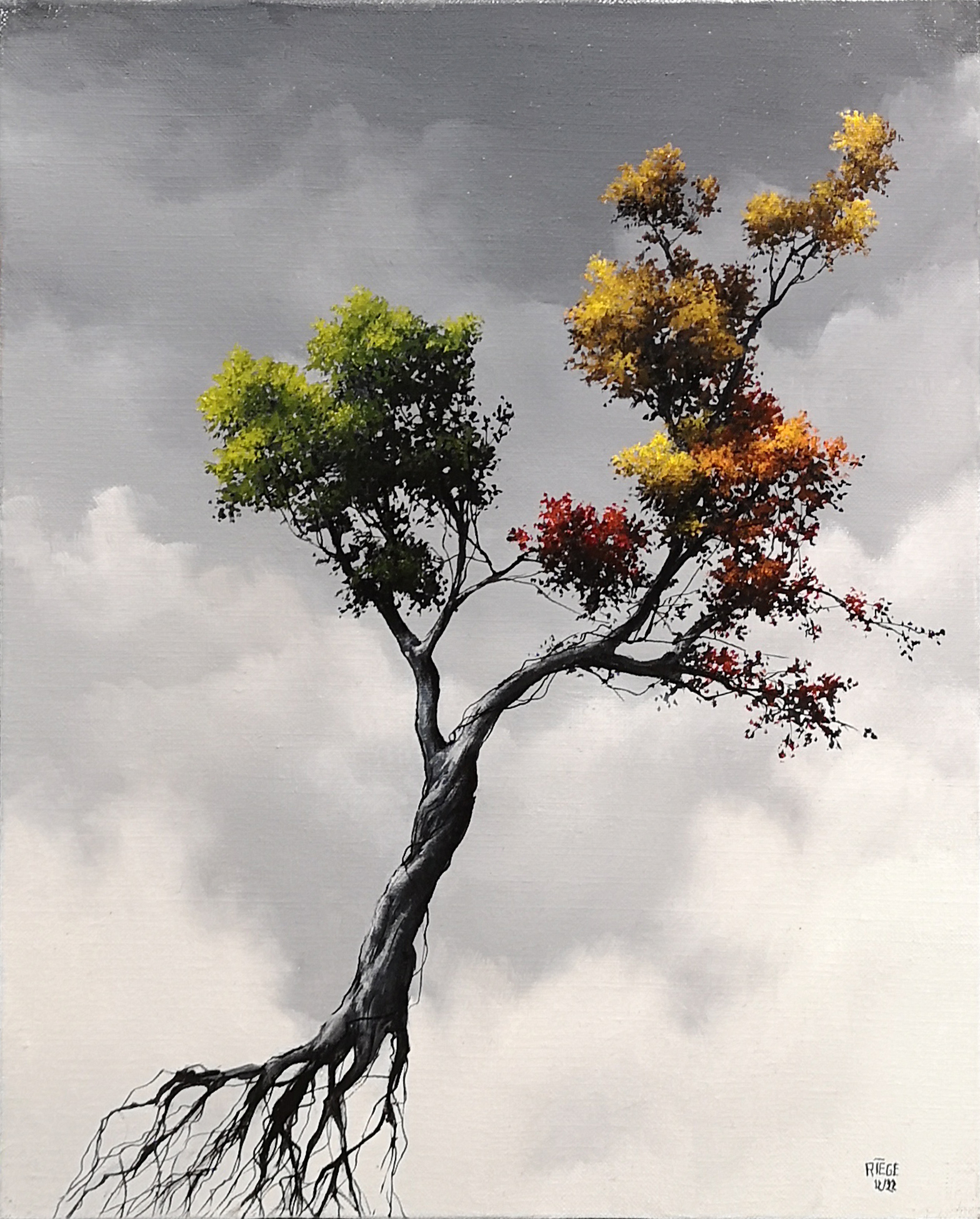 equilibre-23