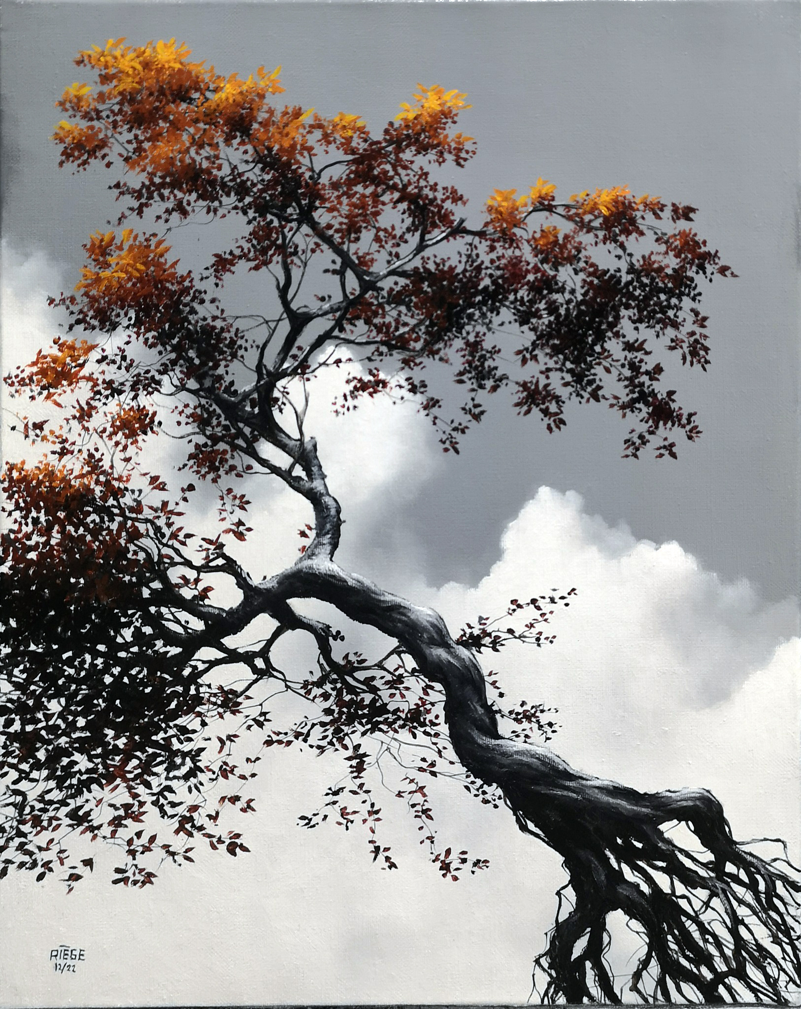 equilibre-32