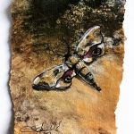 81FCA86D-BC56-40CD-A9DE-FC02FB1E3238