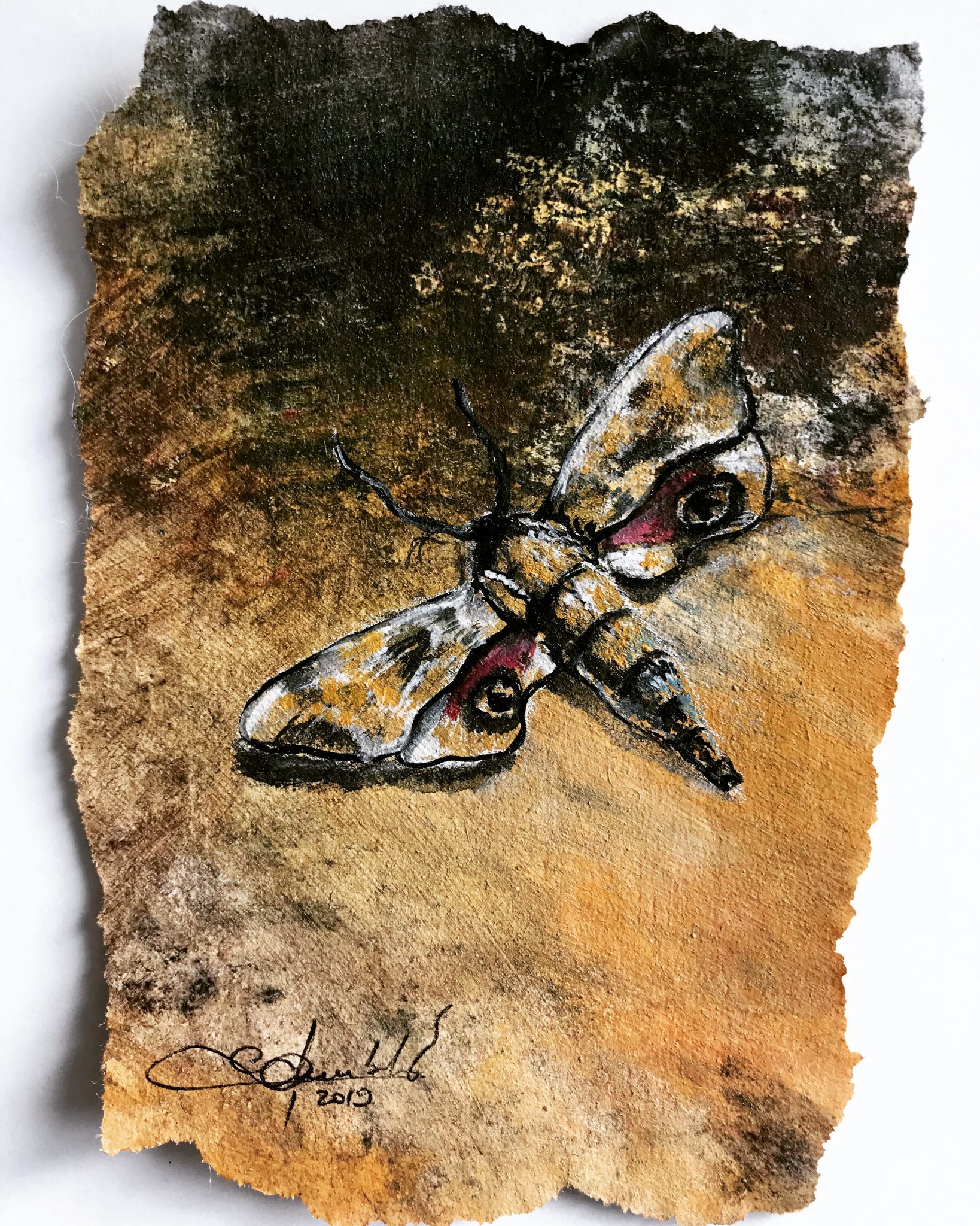 81fca86d-bc56-40cd-a9de-fc02fb1e3238